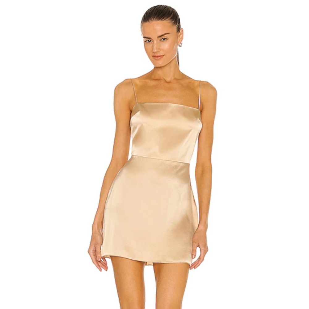 Avani Dress in Earth Amanda Uprichard